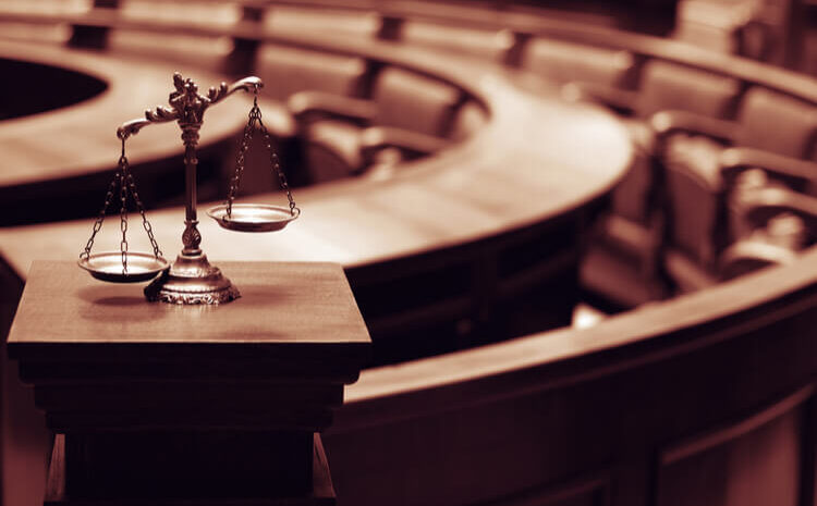  Why Courts Do Not See Cases the Way Parties Do